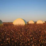 The Self-Drive Cotton Trail