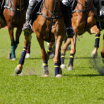 Melbourne Cup Luncheon